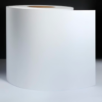 S207L 70g Laser Paper - Hotmelt - WG60 (Лазер Каучук Белый глассин)